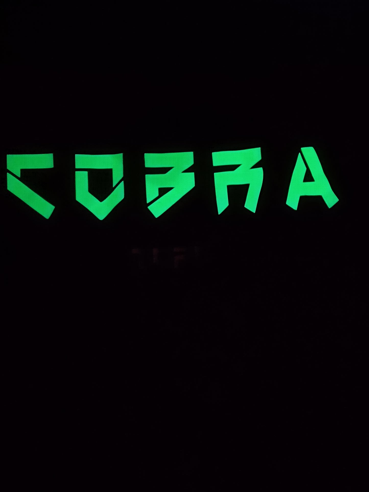 Radium Cobra shield hoodie